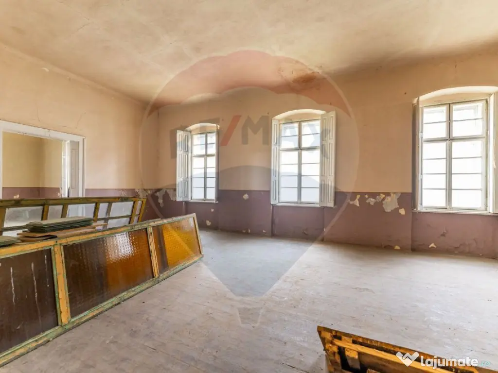 Conac aristocratic secolul XIX , domeniu 2,5 hectare — ... 