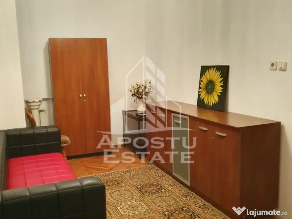 Casa individuala pretabila pentru pensiune, Giarmata 