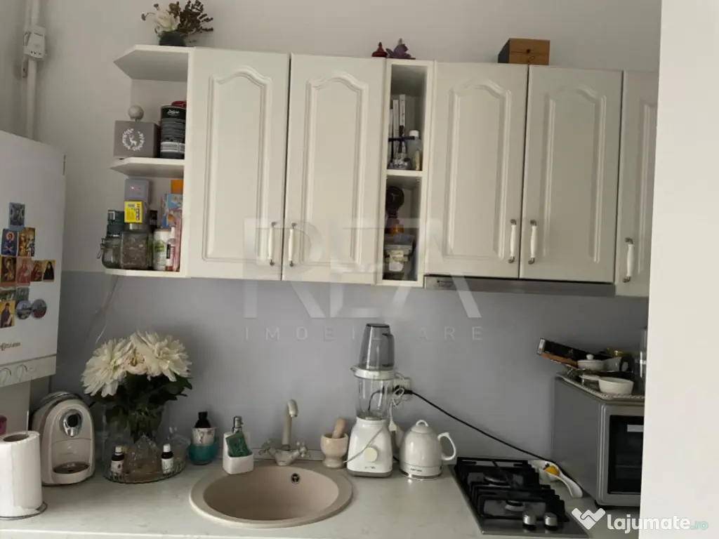 Garsoniera Herastrau 