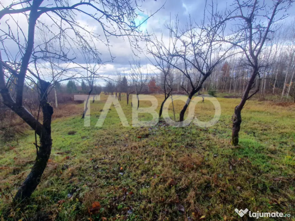 Teren extravilan 1000 mp Statiunea Climaterica Sambata de Su