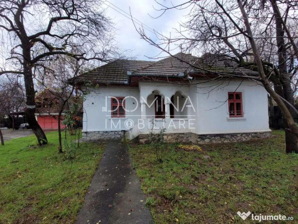 Casă tradițională, în centrul satului Polovragi