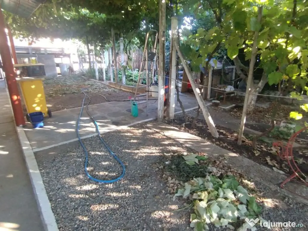 Casă, gradină, teren mare - Palazu Mare