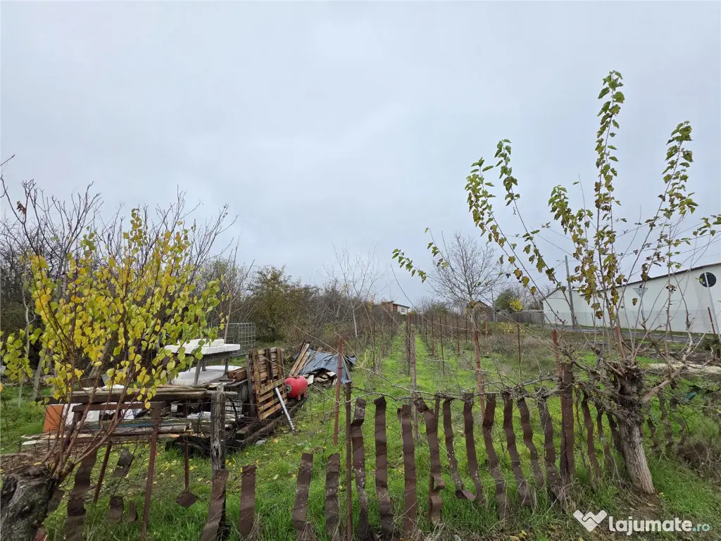 Teren Branesti - Str Oltului - 1600 mp - deschidere 16 ml 