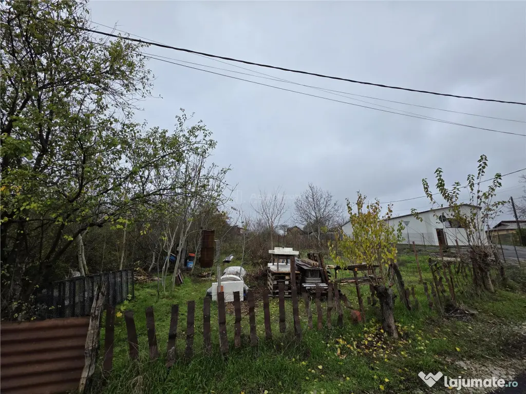 Teren Branesti - Str Oltului - 1600 mp - deschidere 16 ml 