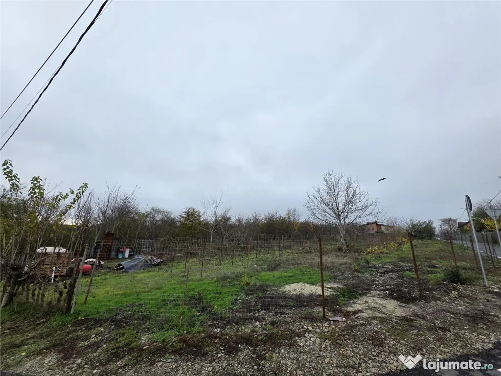 Teren Branesti - Str Oltului - 1600 mp - deschidere 16 ml 