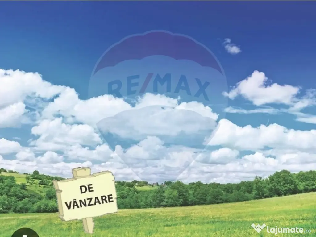 Pasune 21 ha pretabila pentru panouri fotovoltaice,impadurit 