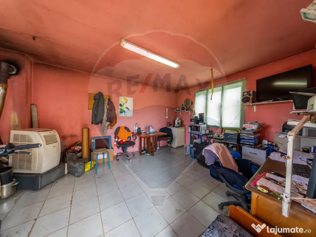 Spațiu industrial cu potential de vanzare in Paulis,Arad 