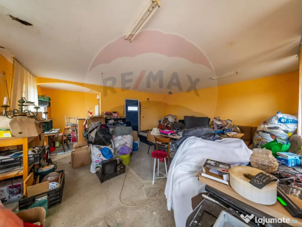 Spațiu industrial cu potential de vanzare in Paulis,Arad 