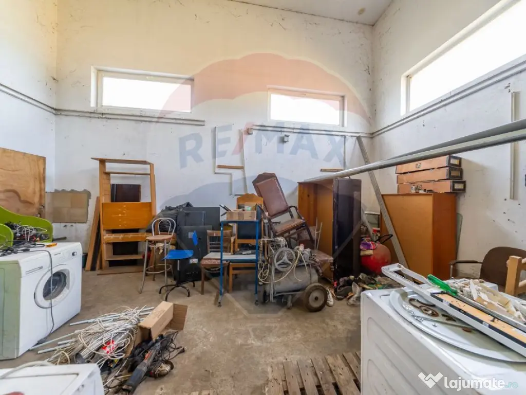 Spațiu industrial cu potential de vanzare in Paulis,Arad 