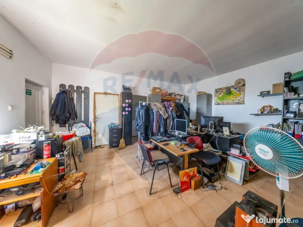 Spațiu industrial cu potential de vanzare in Paulis,Arad 