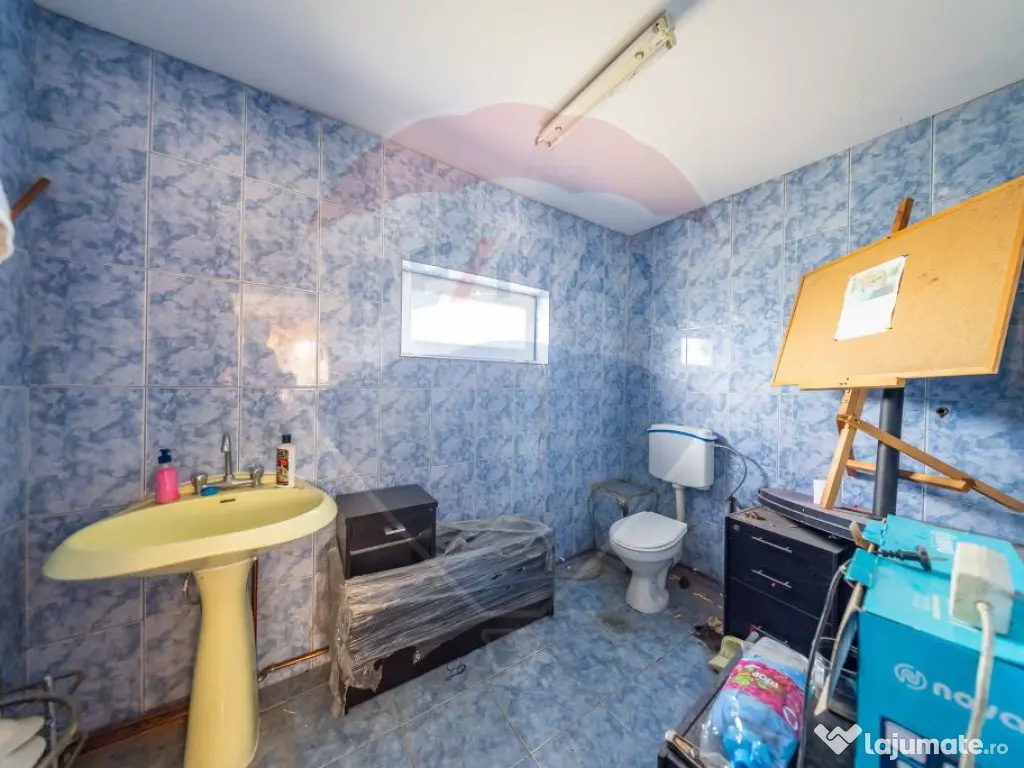 Spațiu industrial cu potential de vanzare in Paulis,Arad 