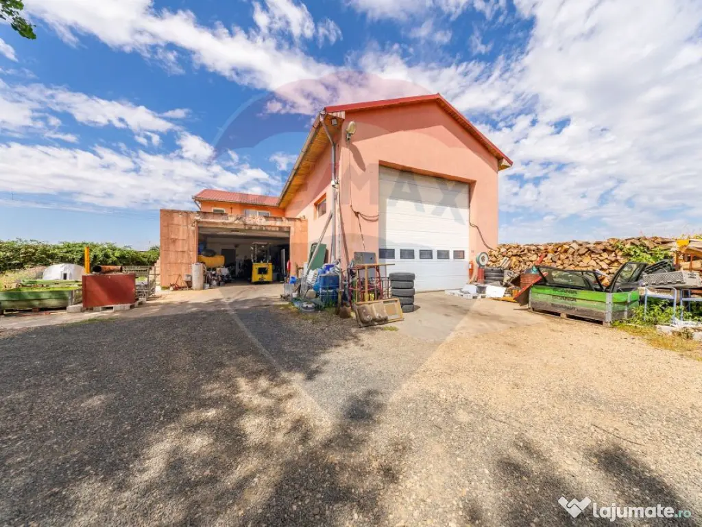 Spațiu industrial cu potential de vanzare in Paulis,Arad 