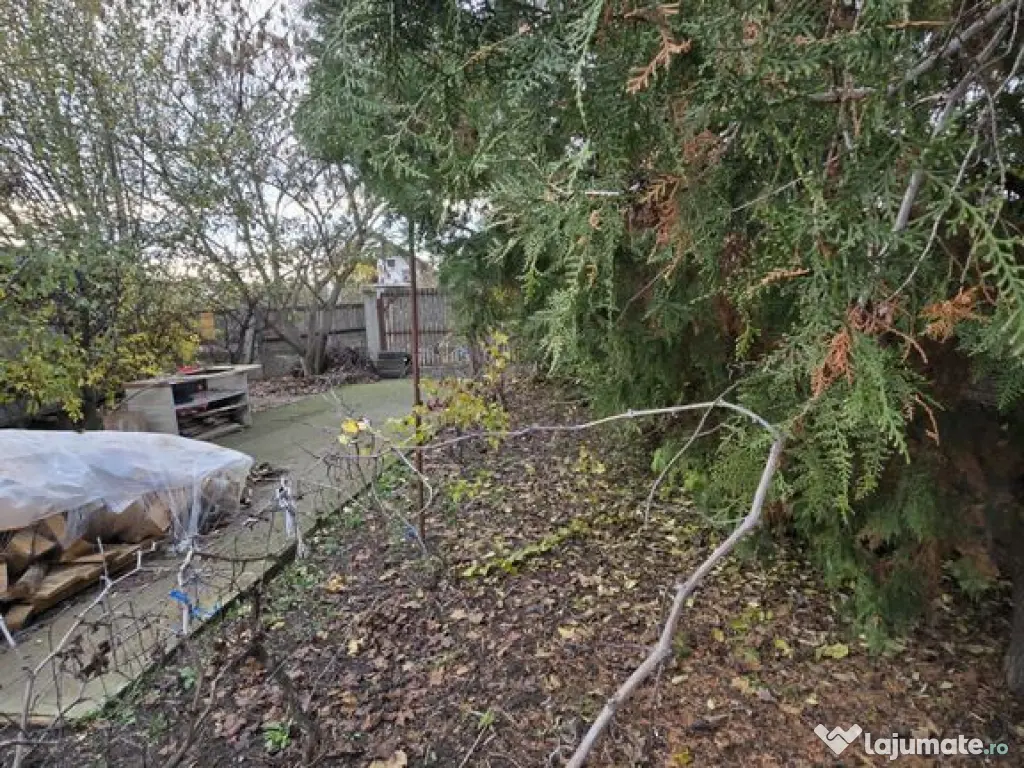 Exclusivitate! Proprietate in Sendreni, jud. Galati - 59.... 