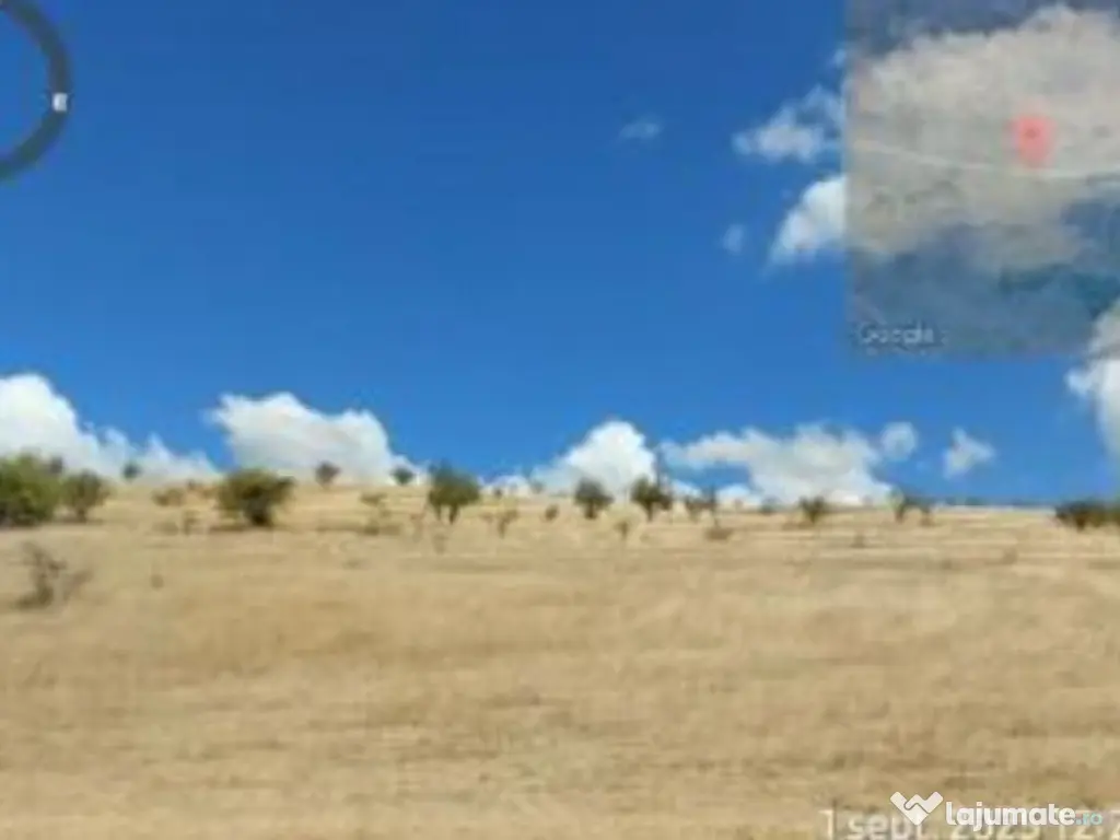 Teren extravilan Loc. Bucovat sat Sarbatoarea, jud. Dolj