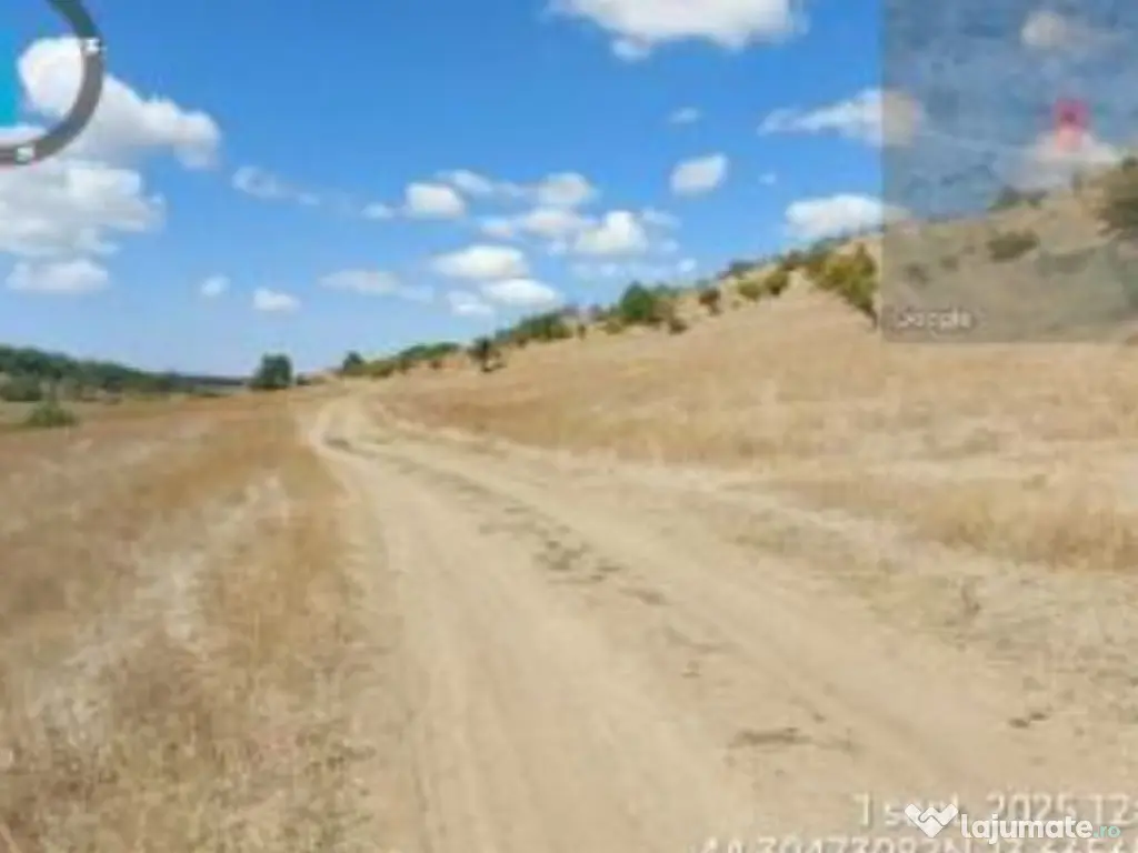 Teren extravilan Loc. Bucovat sat Sarbatoarea, jud. Dolj