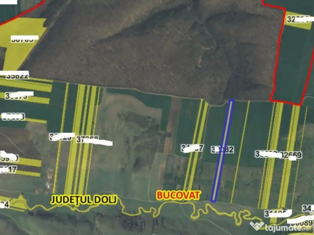 Teren extravilan Loc. Bucovat sat Sarbatoarea, jud. Dolj