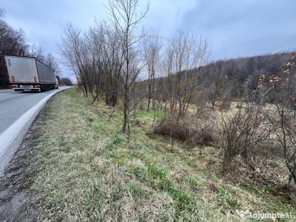 Teren intravilan 6.500 m²–Deschidere 144 ml drum european 