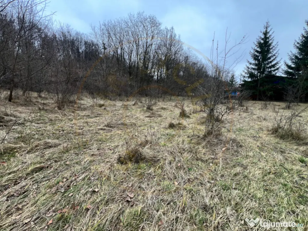 Teren intravilan 6.500 m²–Deschidere 144 ml drum european 