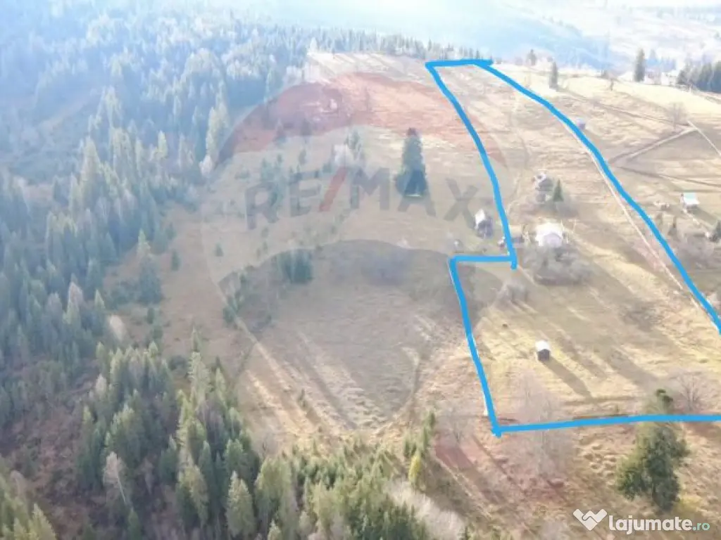 Teren INTRAVILAN 23.238m.p. Dorna-Arini / Cozănești 