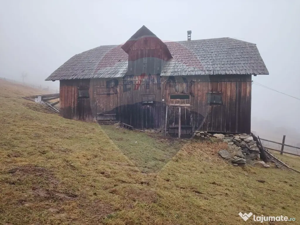 Teren INTRAVILAN 23.238m.p. Dorna-Arini / Cozănești 