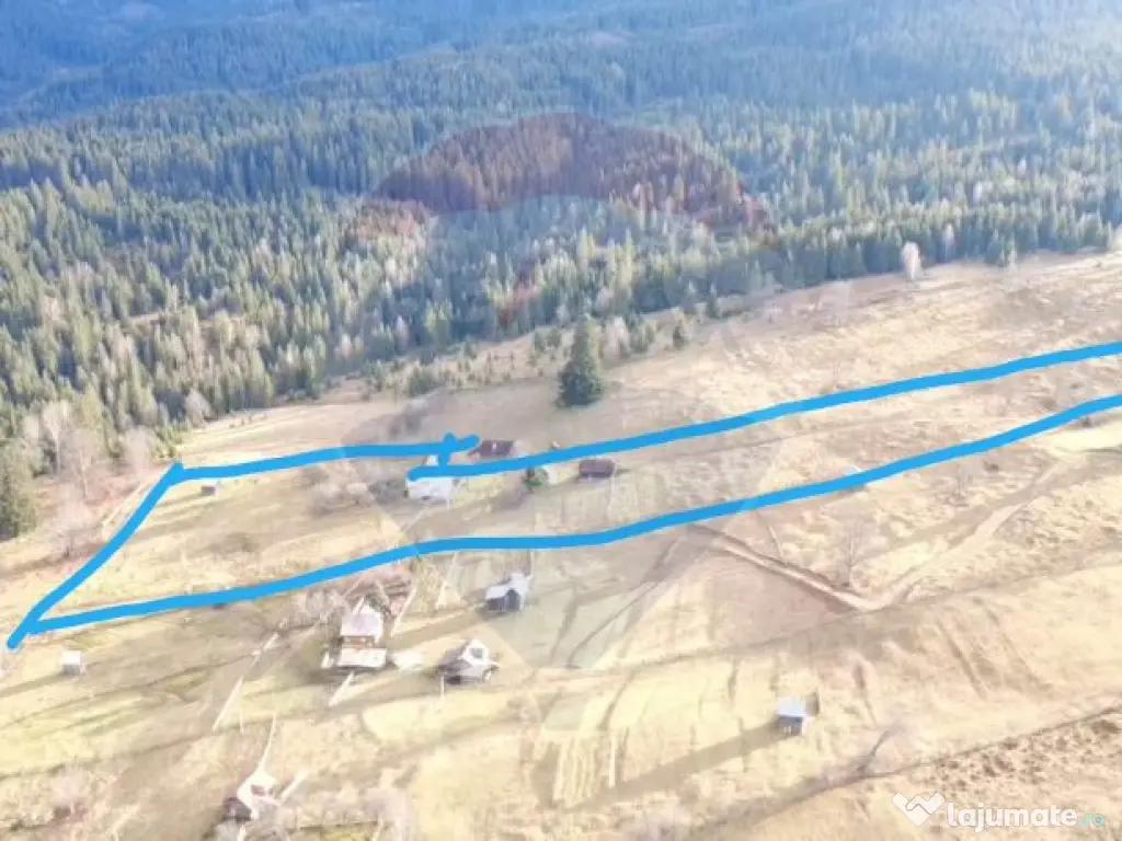 Teren INTRAVILAN 23.238m.p. Dorna-Arini / Cozănești 