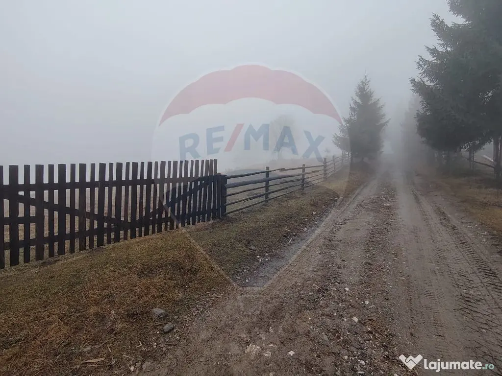 Teren INTRAVILAN 23.238m.p. Dorna-Arini / Cozănești 