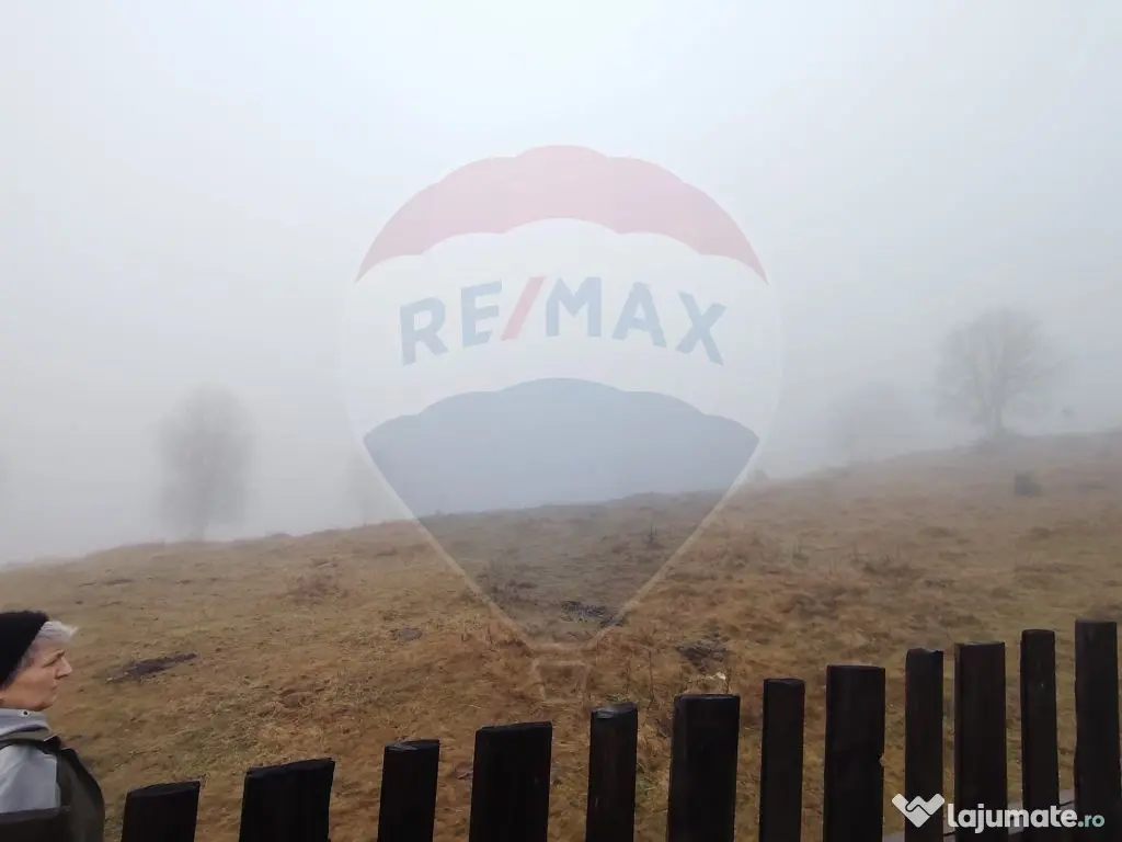 Teren INTRAVILAN 23.238m.p. Dorna-Arini / Cozănești 