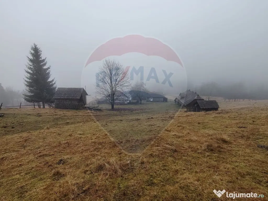 Teren INTRAVILAN 23.238m.p. Dorna-Arini / Cozănești 