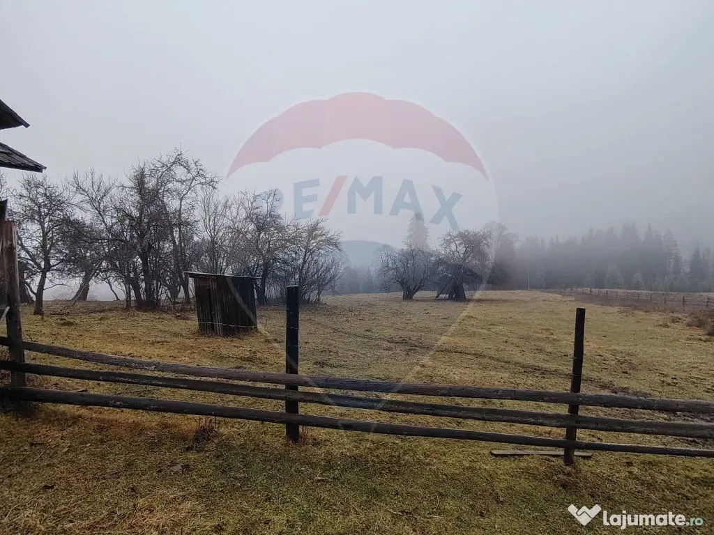 Teren INTRAVILAN 23.238m.p. Dorna-Arini / Cozănești 