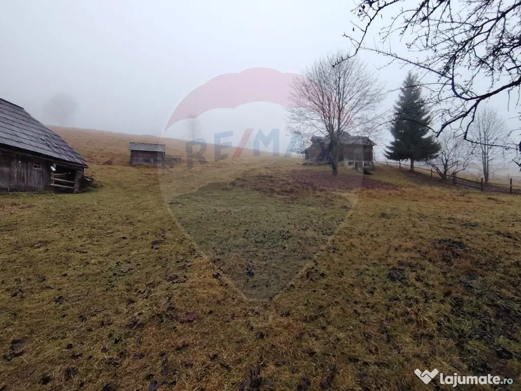 Teren INTRAVILAN 23.238m.p. Dorna-Arini / Cozănești 