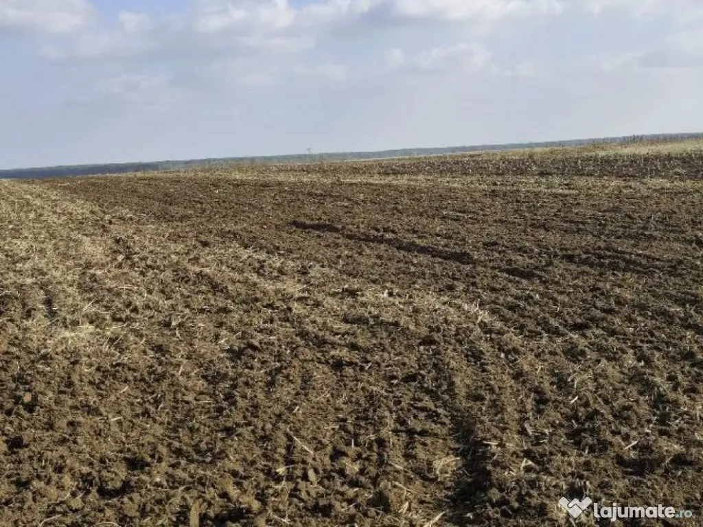 Teren extravilan Varvoru de Jos, jud Dolj 