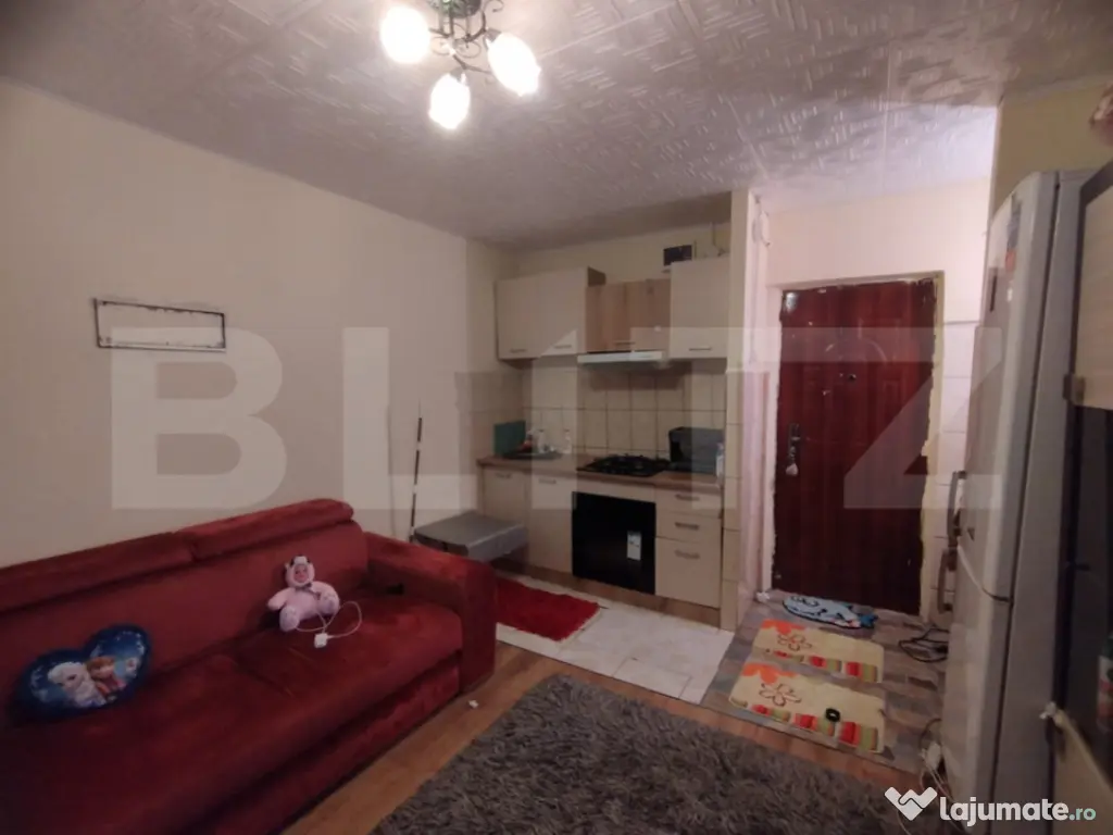 Camera camin, 17 mp, zona Bularga