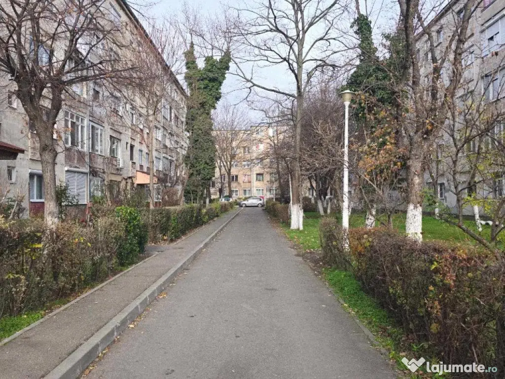 Ap 3 cam tip T de vânzare str Razboieni 