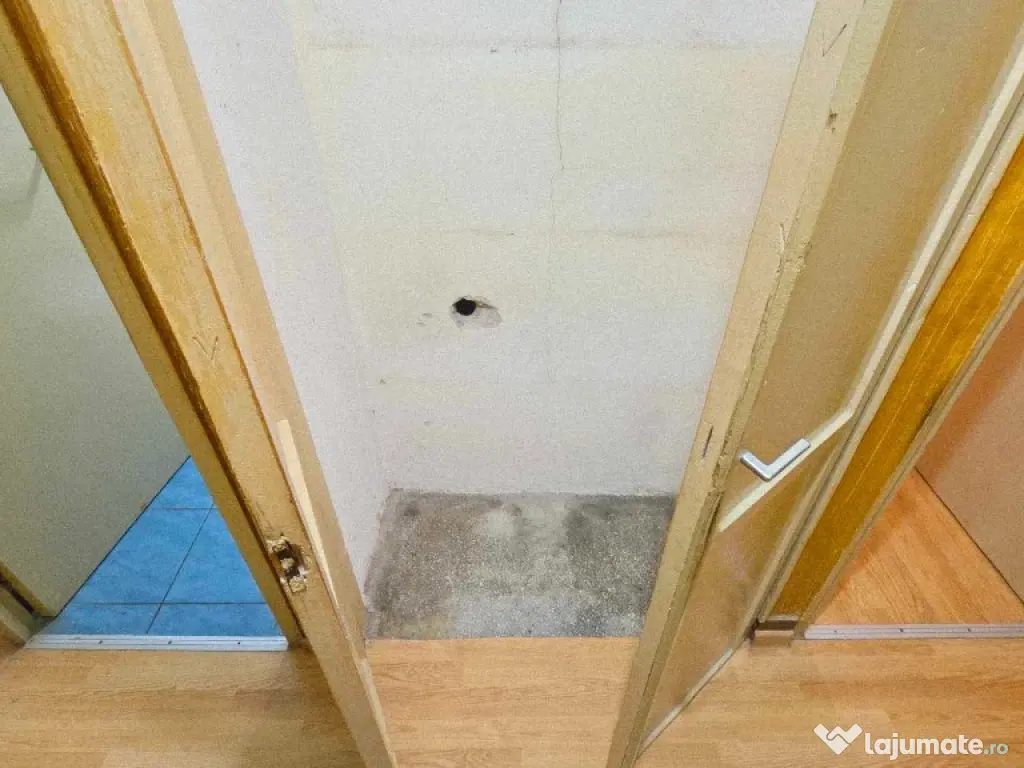 Ap 3 cam tip T de vânzare str Razboieni 