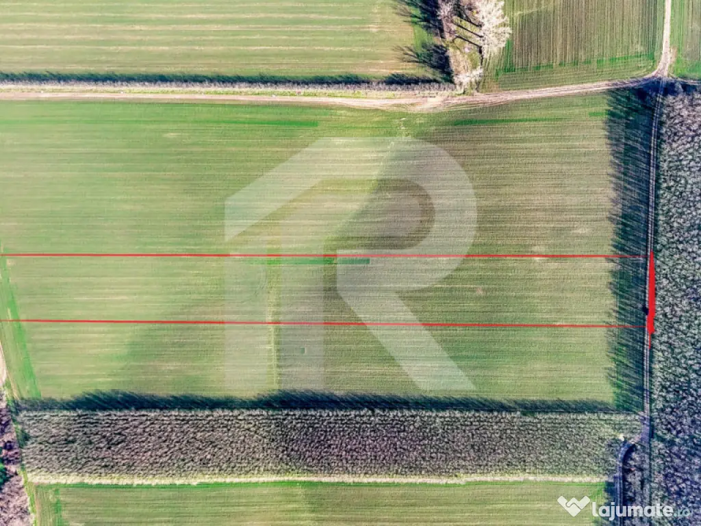 Teren langa Manastirea Sfantul Nicolae Sitaru 