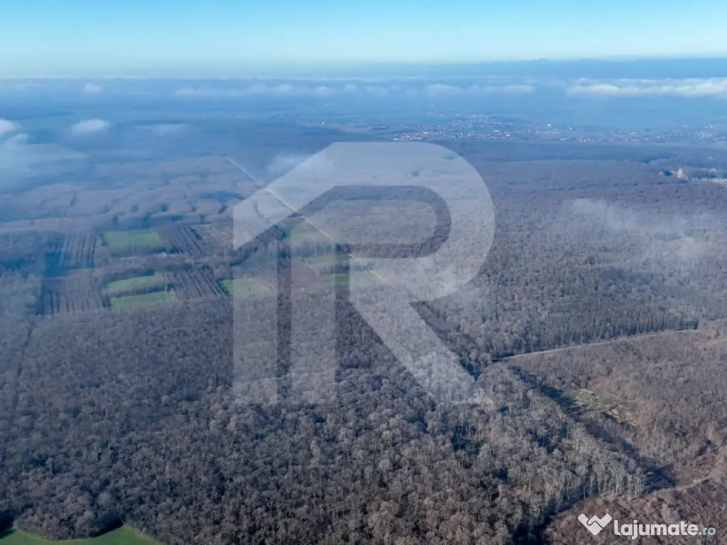 Teren langa Manastirea Sfantul Nicolae Sitaru 