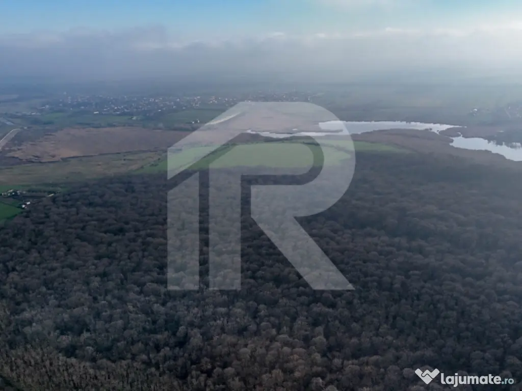 Teren langa Manastirea Sfantul Nicolae Sitaru 