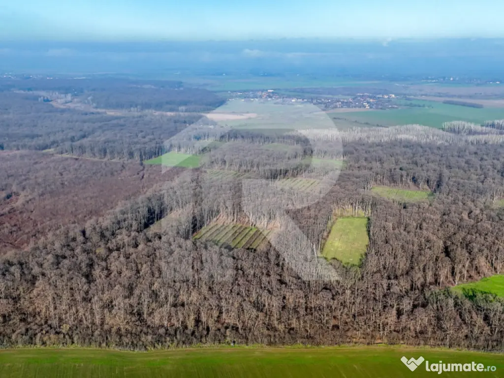 Teren langa Manastirea Sfantul Nicolae Sitaru 