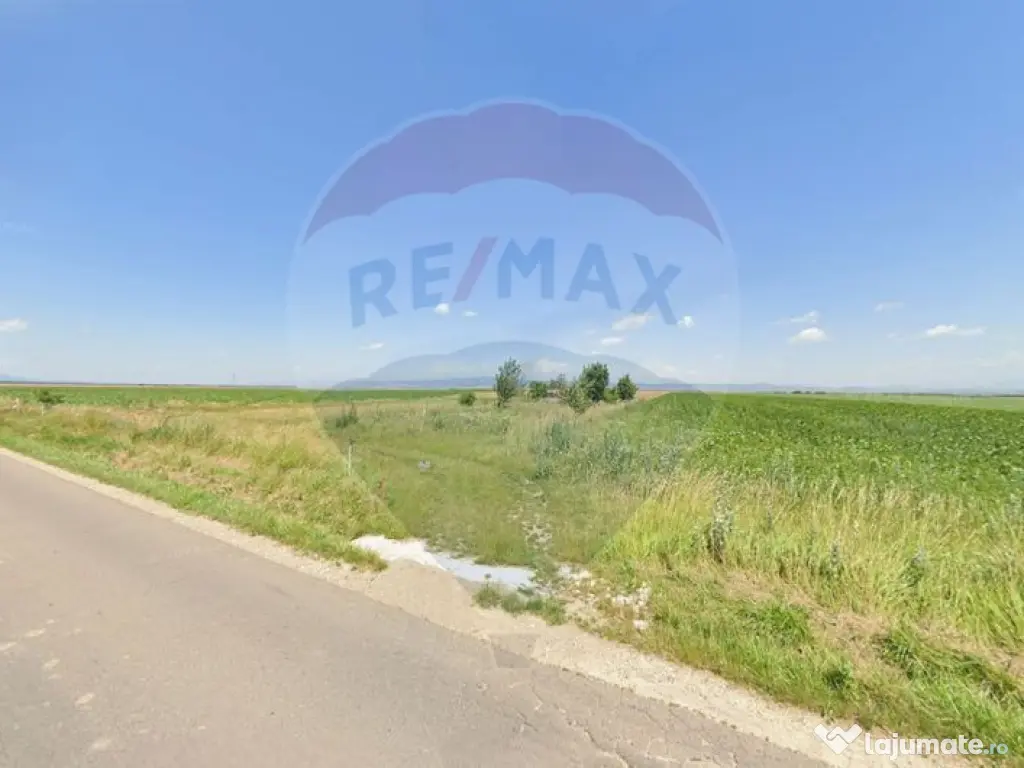 Teren extravilan 2 parcele de 9.750 mp - Satul Nou, comun...