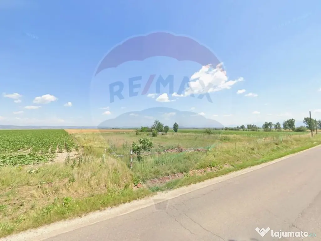 Teren extravilan 2 parcele de 9.750 mp - Satul Nou, comun...