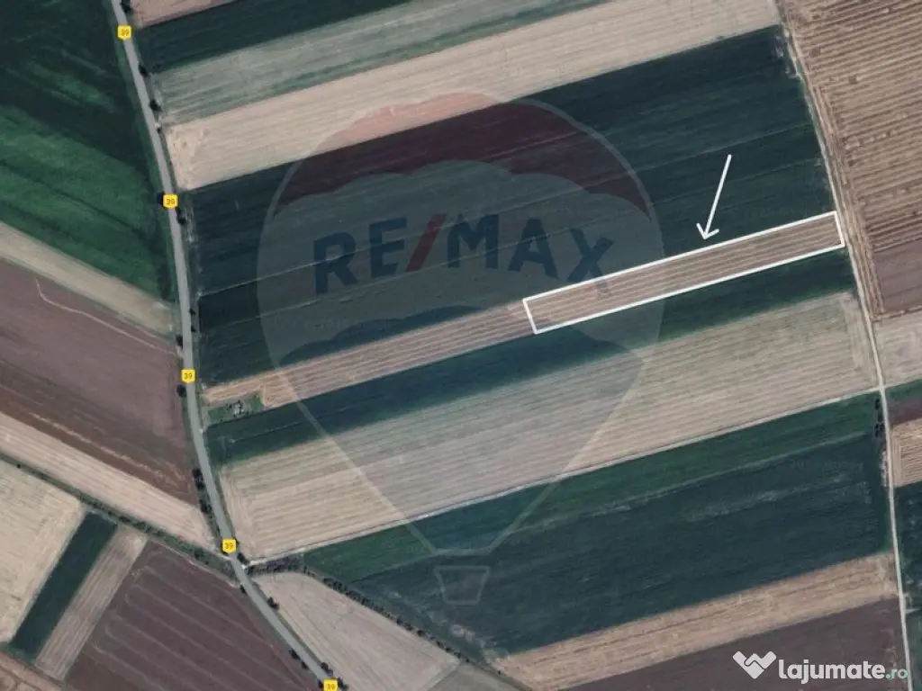 Teren extravilan 2 parcele de 9.750 mp - Satul Nou, comun...