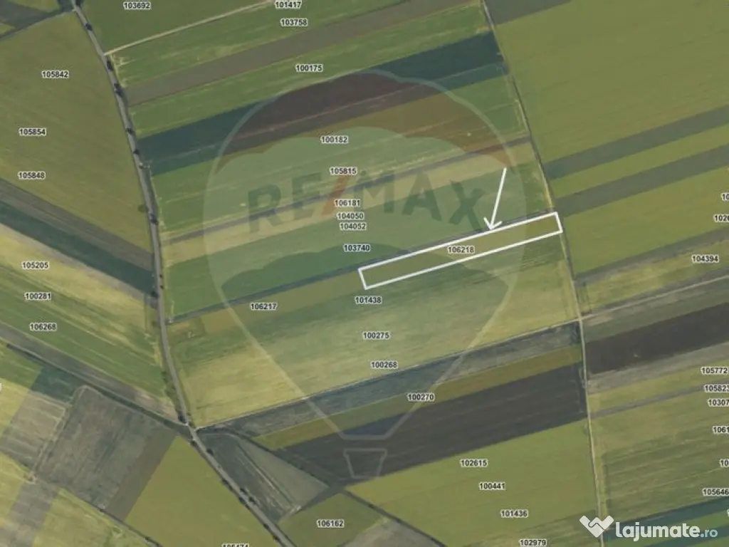Teren extravilan 2 parcele de 9.750 mp - Satul Nou, comun...