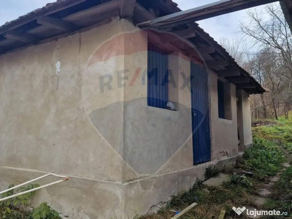 Casa de vanzare in Chelinta, jud. Maramures – teren gen...