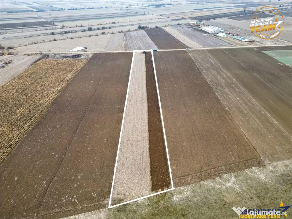 FILM! In areal linistit, acces facil, 4.200 mp teren extrav