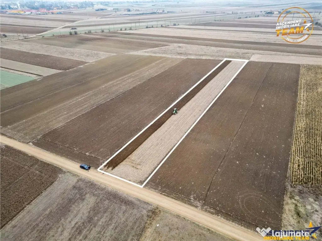 FILM! In areal linistit, acces facil, 4.200 mp teren extrav