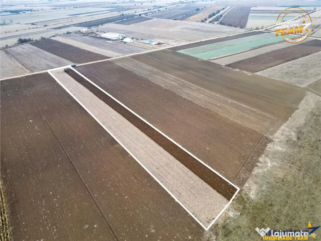 FILM! In areal linistit, acces facil, 4.200 mp teren extrav