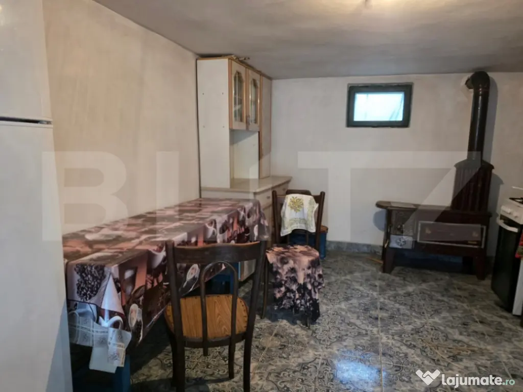 Casă cu teren generos și baltă de pescuit – Găești 