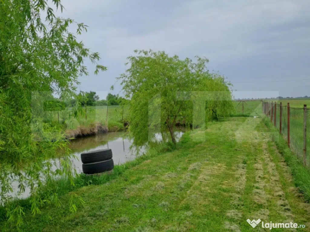 Casă cu teren generos și baltă de pescuit – Găești 