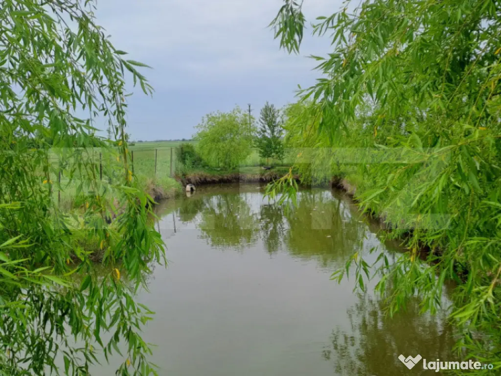 Casă cu teren generos și baltă de pescuit – Găești 