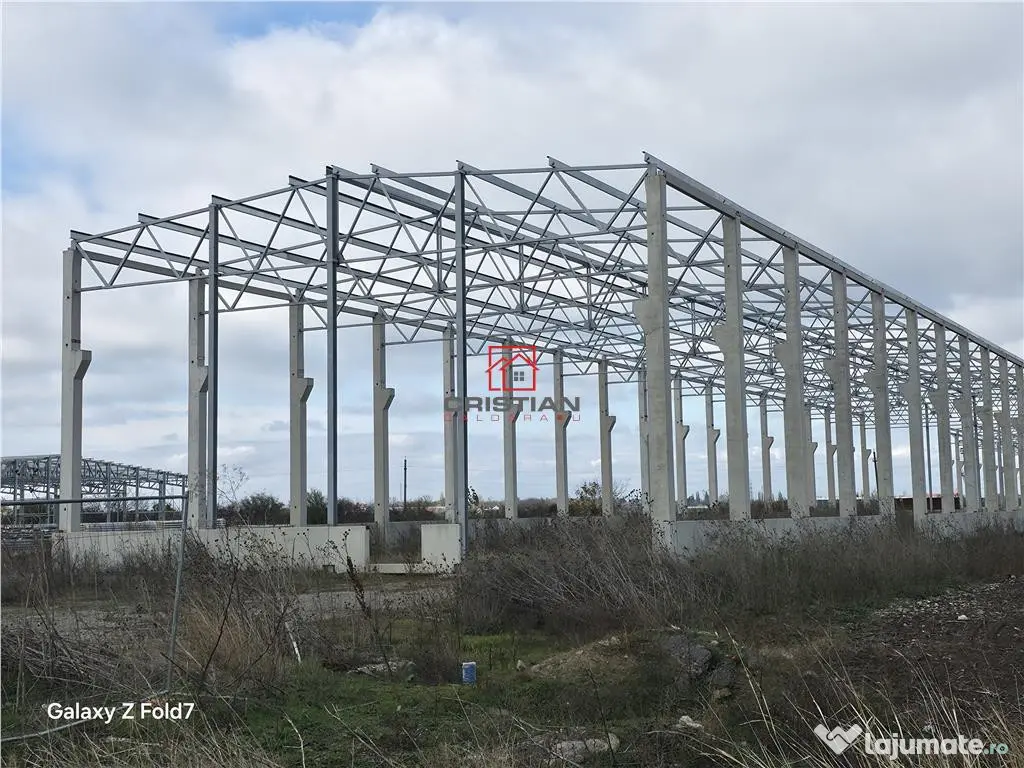 Depozit/hala/spatiu industrial Mogosoaia - Buftea 